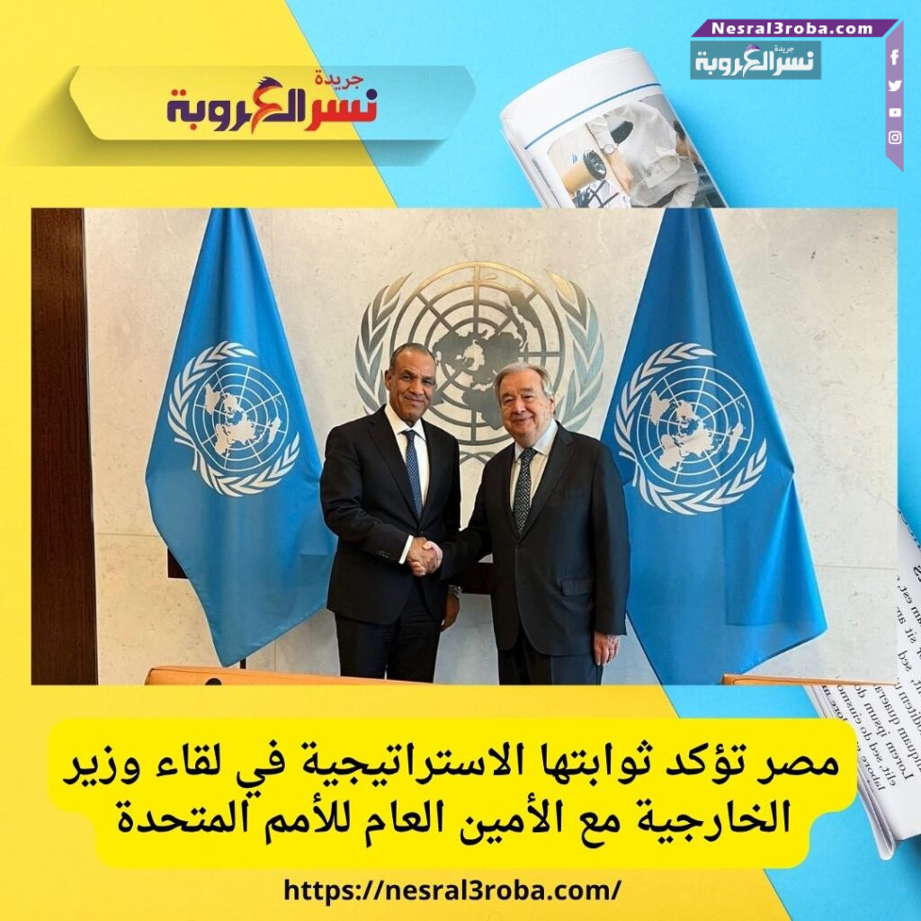 مصر تؤكد ثوابتها الاستراتيجية في لقاء وزير الخارجية مع الأمين العام للأمم المتحدة