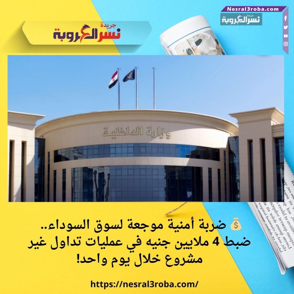 💰 ضربة أمنية موجعة لسوق السوداء.. ضبط 4 ملايين جنيه في عمليات تداول غير مشروع خلال يوم واحد!