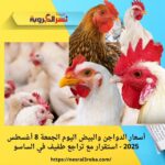 أسعار الدواجن والبيض اليوم الجمعة 8 أغسطس 2025 - استقرار مع تراجع طفيف في الساسو