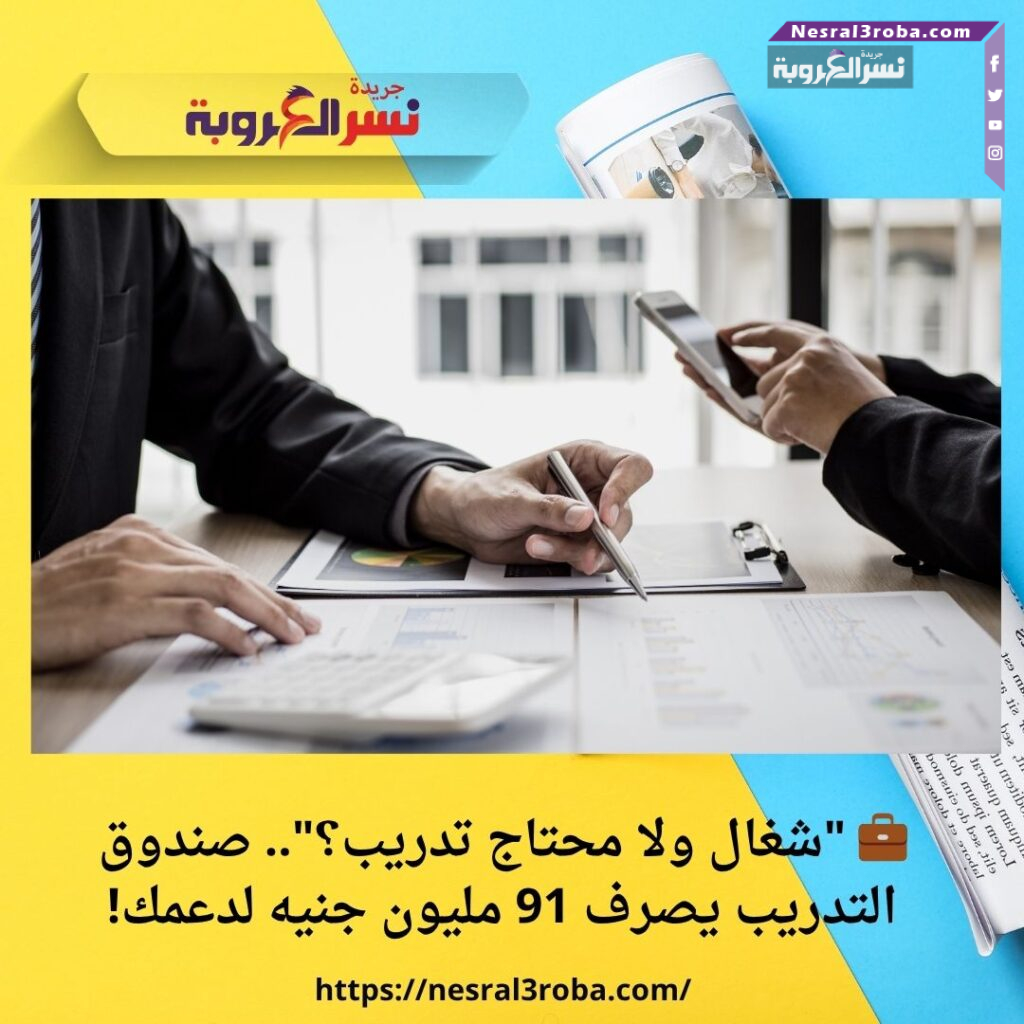 💼 "شغال ولا محتاج تدريب؟".. صندوق التدريب يصرف 91 مليون جنيه لدعمك!