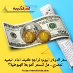 سعر الدولار اليوم: تراجع طفيف أمام الجنيه المصري.. هل تستمر الموجة الهبوطية؟