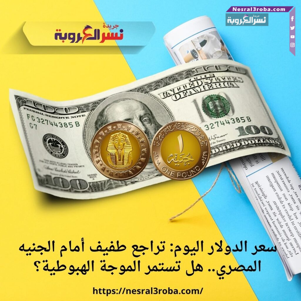 سعر الدولار اليوم: تراجع طفيف أمام الجنيه المصري.. هل تستمر الموجة الهبوطية؟