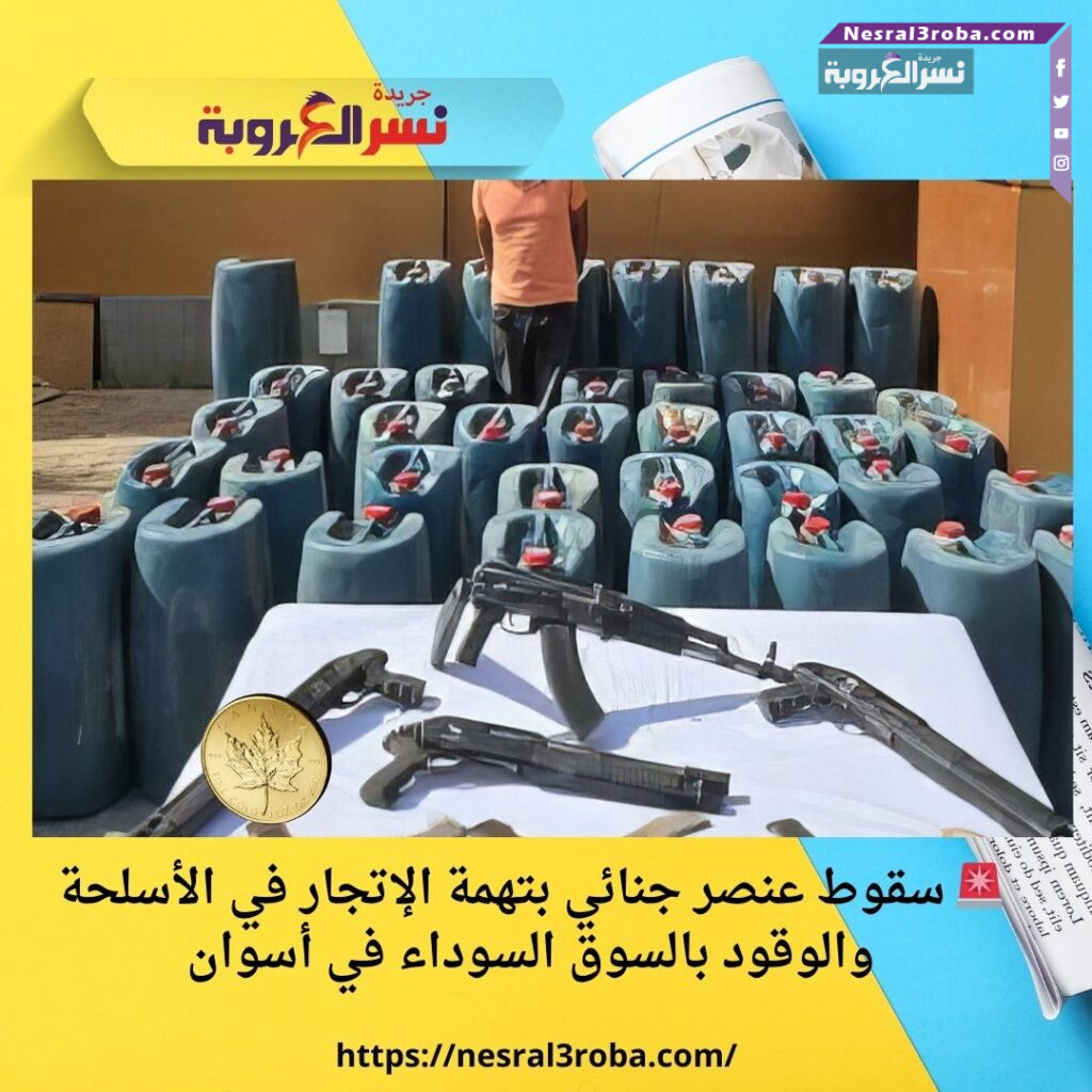🚨 سقوط عنصر جنائي بتهمة الإتجار في الأسلحة والوقود بالسوق السوداء في أسوان