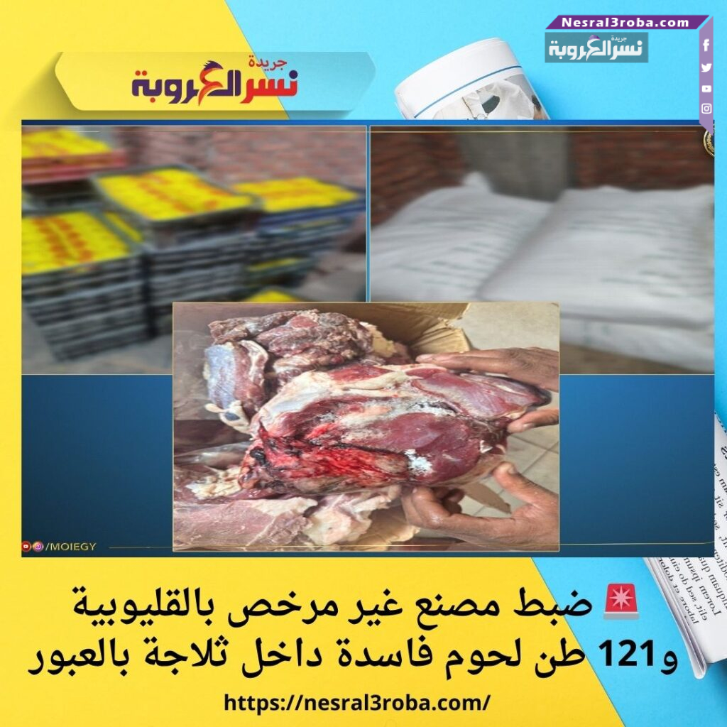 🚨 ضبط مصنع غير مرخص بالقليوبية و121 طن لحوم فاسدة داخل ثلاجة بالعبور