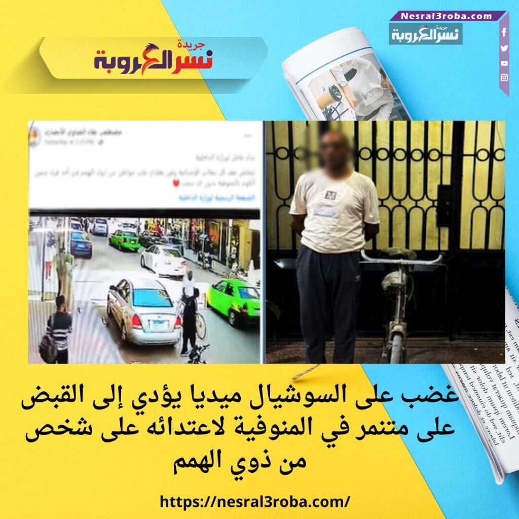 غضب على السوشيال ميديا يؤدي إلى القبض على متنمر في المنوفية لاعتدائه على شخص من ذوي الهمم