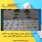 🔴 ضبط تشكيل عصابي بحوزته أكثر من 4 أطنان مخدرات برأس سدر بقيمة 290 مليون جنيه