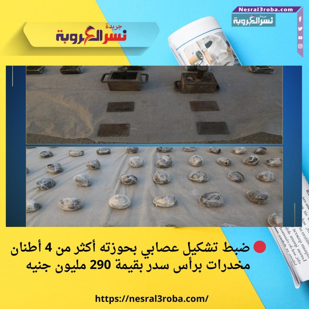 🔴 ضبط تشكيل عصابي بحوزته أكثر من 4 أطنان مخدرات برأس سدر بقيمة 290 مليون جنيه