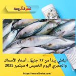 أسعار الأسماك والجمبري اليوم الخميس 4 سبتمبر 2025 في مصر
