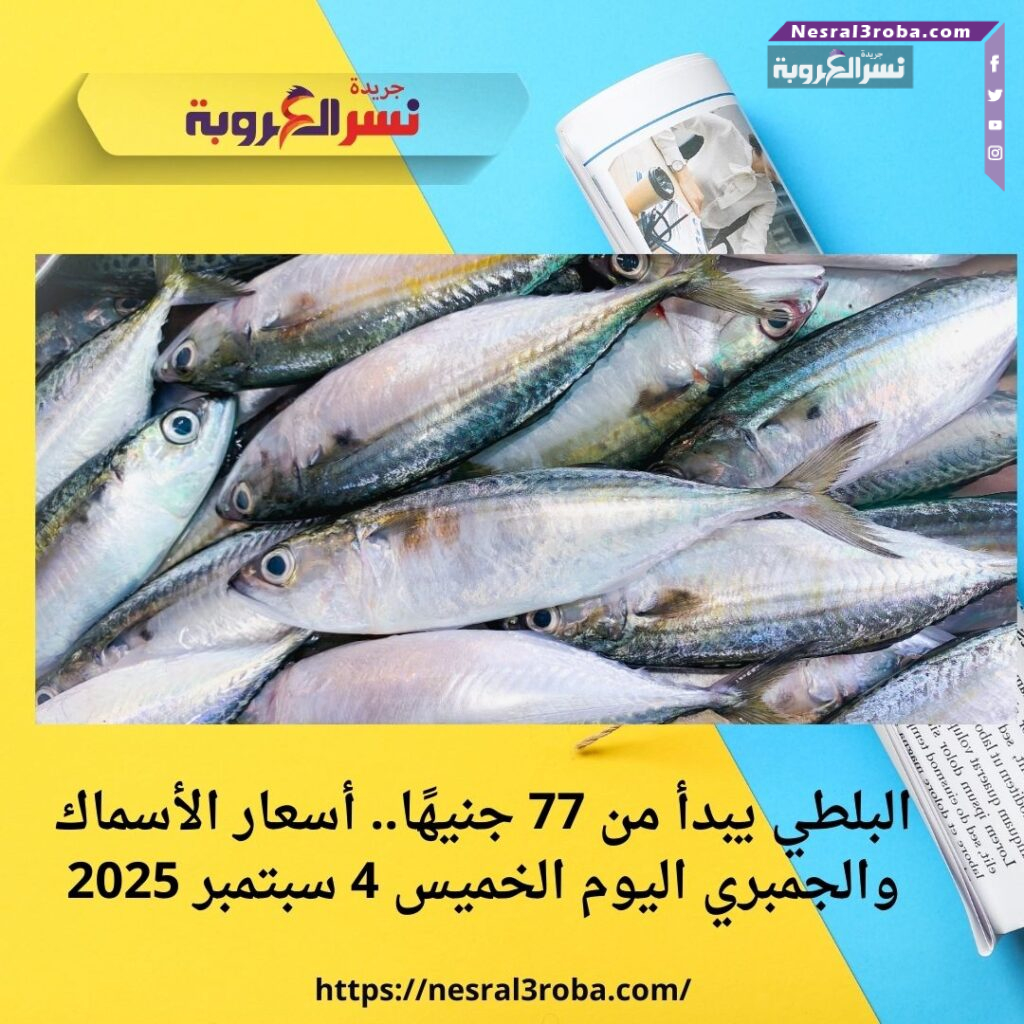 أسعار الأسماك والجمبري اليوم الخميس 4 سبتمبر 2025 في مصر