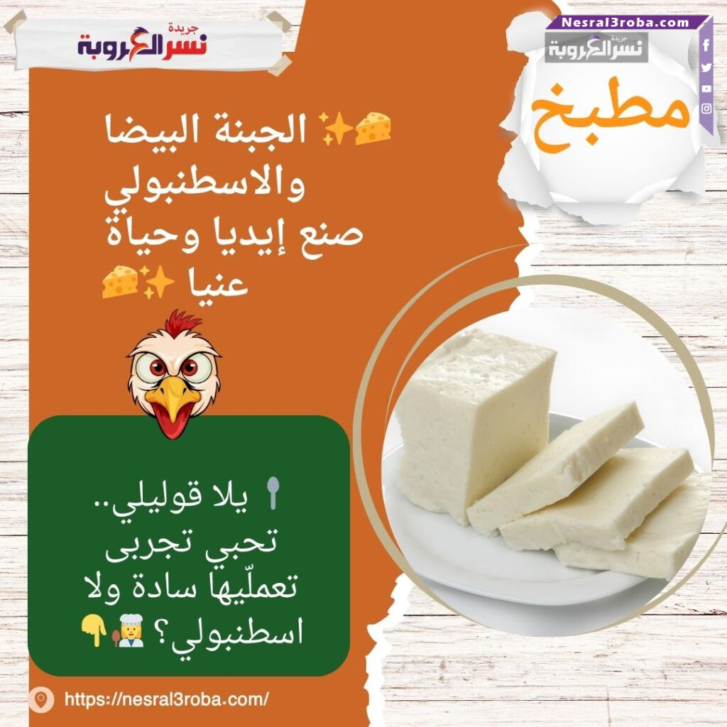 🧀✨ الجبنة البيضا والاسطنبولي.. صنع إيديا وحياة عنيا ✨🧀