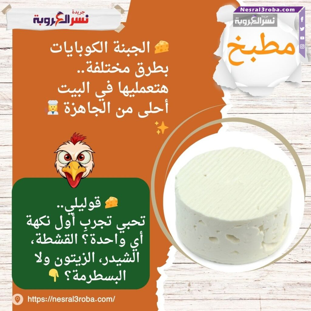 🧀 الجبنة الكوبايات بطرق مختلفة.. هتعمليها في البيت أحلى من الجاهزة 👩‍🍳✨