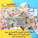 أسعار العملات العربية والأجنبية في مصر اليوم الأربعاء 17 سبتمبر 2025