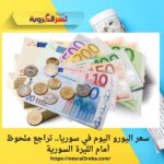 سعر اليورو اليوم في سوريا.. تراجع ملحوظ أمام الليرة السورية