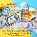 أسعار العملات العربية والأجنبية اليوم الثلاثاء 23 سبتمبر 2025 في مصر