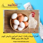 الفراخ البيضاء بكام؟.. أسعار الدواجن والبيض اليوم الأربعاء 24 سبتمبر 2025