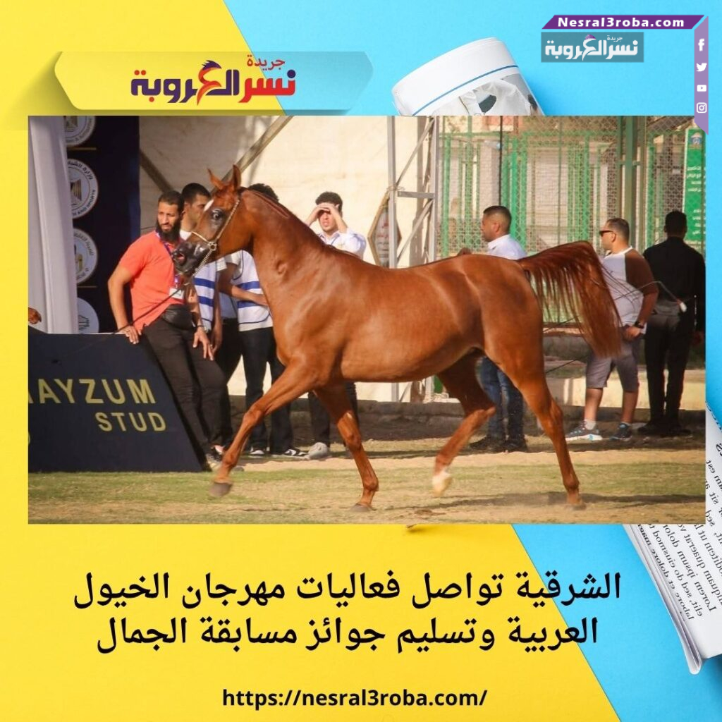 الشرقية تواصل فعاليات مهرجان الخيول العربية وتسليم جوائز مسابقة الجمال