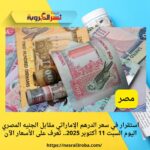 🇦🇪 استقرار في سعر الدرهم الإماراتي مقابل الجنيه المصري اليوم السبت 11 أكتوبر 2025.. تعرف على الأسعار الآن