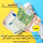 💶 استقرار سعر اليورو مقابل الجنيه المصري اليوم السبت 11 أكتوبر 2025.. تعرف على الأسعار الآن