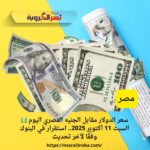 💵 سعر الدولار مقابل الجنيه المصري اليوم السبت 11 أكتوبر 2025.. استقرار في البنوك وفقًا لآخر تحديث