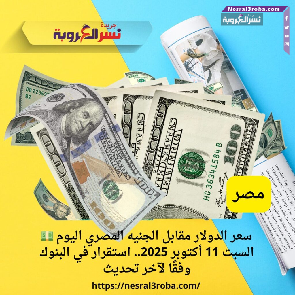 💵 سعر الدولار مقابل الجنيه المصري اليوم السبت 11 أكتوبر 2025.. استقرار في البنوك وفقًا لآخر تحديث
