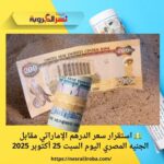 💵 استقرار سعر الدرهم الإماراتي مقابل الجنيه المصري اليوم السبت 25 أكتوبر 2025