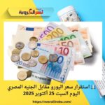 💶 استقرار سعر اليورو مقابل الجنيه المصري اليوم السبت 25 أكتوبر 2025