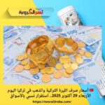 🇹🇷 أسعار صرف الليرة التركية والذهب في تركيا اليوم الأربعاء 29 أكتوبر 2025.. استقرار نسبي بالأسواق