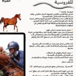 🐎 لارا سكاكيني تختار رفع علم مصر في البطولات الدولية للفروسية