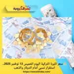 💰 سعر الليرة التركية اليوم الخميس 13 نوفمبر 2025.. استقرار نسبي أمام الدولار والذهب
