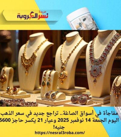 مفاجأة في أسواق الصاغة.. تراجع جديد في سعر الذهب اليوم الجمعة 14 نوفمبر 2025 وعيار 21 يكسر حاجز 5600 جنيه!