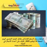 استقرار سعر الدرهم الإماراتي مقابل الجنيه المصري اليوم الجمعة 14 نوفمبر 2025.. تعرف على أحدث الأسعار في البنوك
