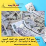 استقرار سعر الريال السعودي مقابل الجنيه المصري اليوم الجمعة 14 نوفمبر 2025.. آخر تحديث من البنوك