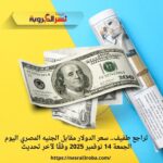 تراجع طفيف.. سعر الدولار مقابل الجنيه المصري اليوم الجمعة 14 نوفمبر 2025 وفقًا لآخر تحديث