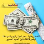 الأخضر بكام؟.. سعر الدولار اليوم السبت 15 نوفمبر 2025 مقابل الجنيه المصري