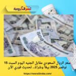 سعر الريال السعودي مقابل الجنيه اليوم السبت 15 نوفمبر 2025 بيعًا وشراءً.. تحديث فوري الآن