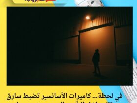 في لحظة… كاميرات الأسانسير تضبط سارق هاتف داخل التأمين الصحي ببني سويف 9 في لحظة… كاميرات الأسانسير تضبط سارق هاتف داخل التأمين الصحي ببني سويف
