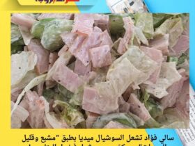 سالي فؤاد تشعل السوشيال ميديا بطبق “مشبع وقليل السعرات”.. ومكوّن سري يشعل فضول المتابعين! 30 سالي فؤاد تشعل السوشيال ميديا بطبق “مشبع وقليل السعرات”.. ومكوّن سري يشعل فضول المتابعين!