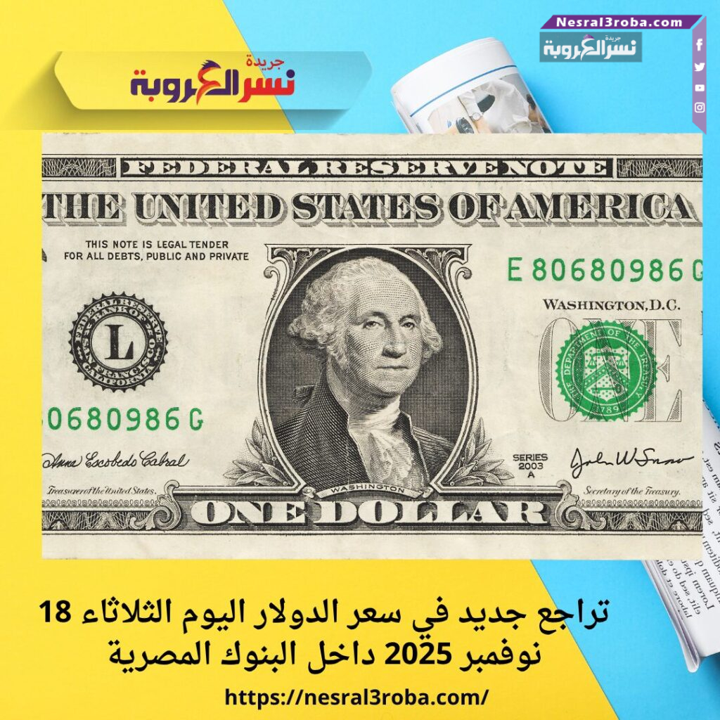 تراجع جديد في سعر الدولار اليوم الثلاثاء 18 نوفمبر 2025 داخل البنوك المصرية