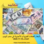 أسعار العملات اليوم الثلاثاء 18 نوفمبر 2025.. تراجع واستقرار في العملات الأجنبية والعربية أمام الجنيه المصري
