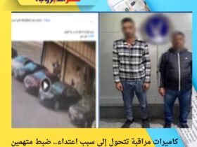 كاميرات مراقبة تتحول إلى سبب اعتداء.. ضبط متهمين اعتديا على سيدة بالإسكندرية