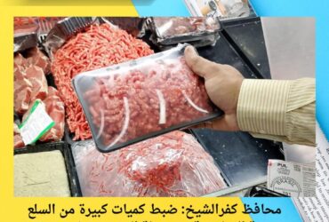 محافظ كفرالشيخ: ضبط كميات كبيرة من السلع منتهية الصلاحية ومجهولة المصدر.. وتحرير 170 محضراً تموينياً في حملات موسّعة