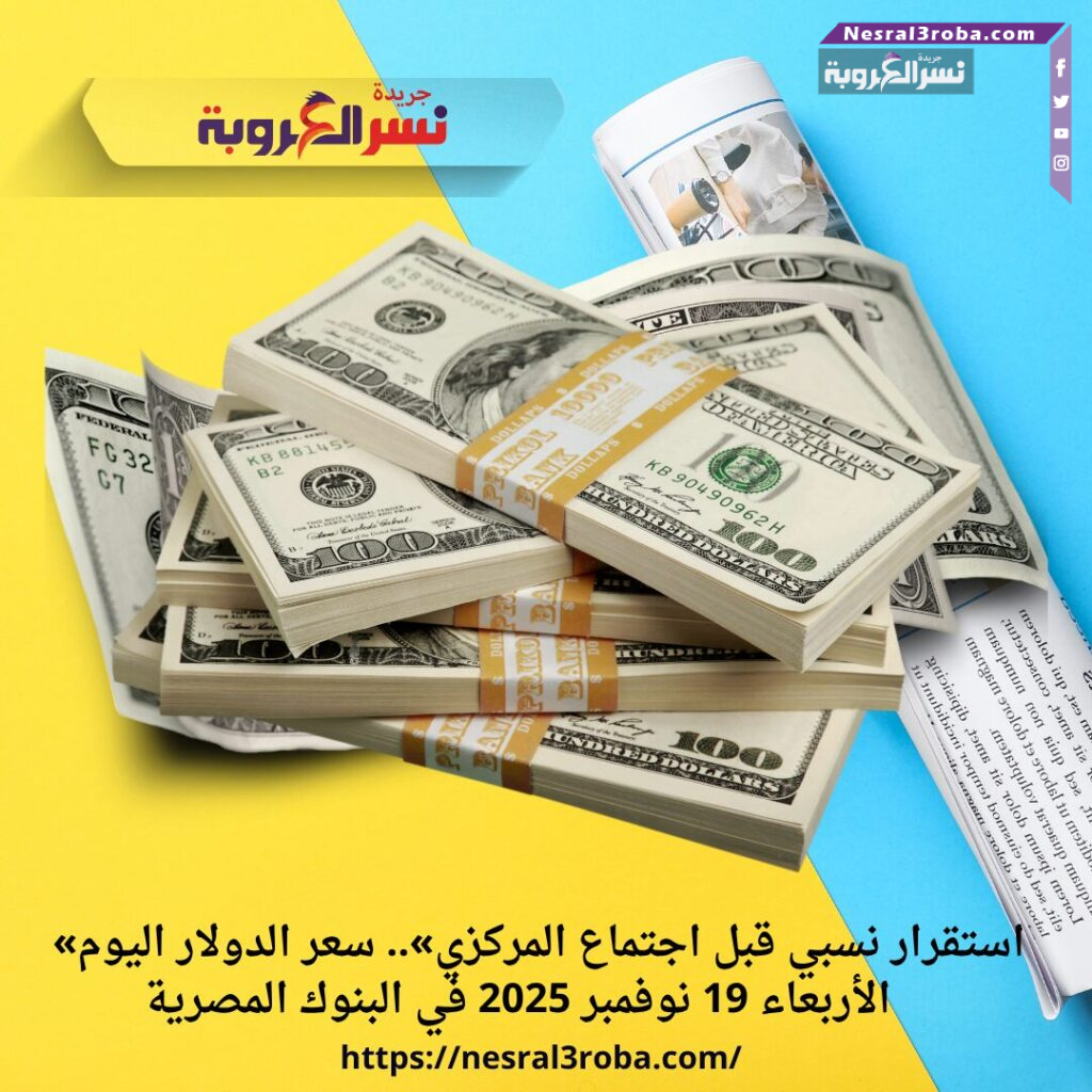 «استقرار نسبي قبل اجتماع المركزي».. سعر الدولار اليوم الأربعاء 19 نوفمبر 2025 في البنوك المصرية