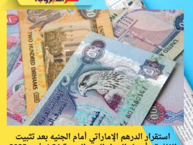 استقرار الدرهم الإماراتي أمام الجنيه بعد تثبيت الفائدة.. أسعار البنوك اليوم الجمعة 21 نوفمبر 2025