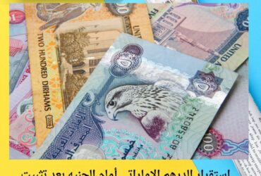 استقرار الدرهم الإماراتي أمام الجنيه بعد تثبيت الفائدة.. أسعار البنوك اليوم الجمعة 21 نوفمبر 2025