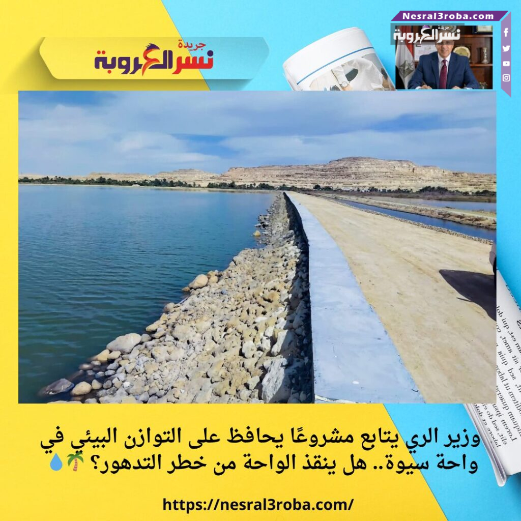 وزير الري يتابع مشروعًا يحافظ على التوازن البيئي في واحة سيوة.. هل ينقذ الواحة من خطر التدهور؟ 🌴💧