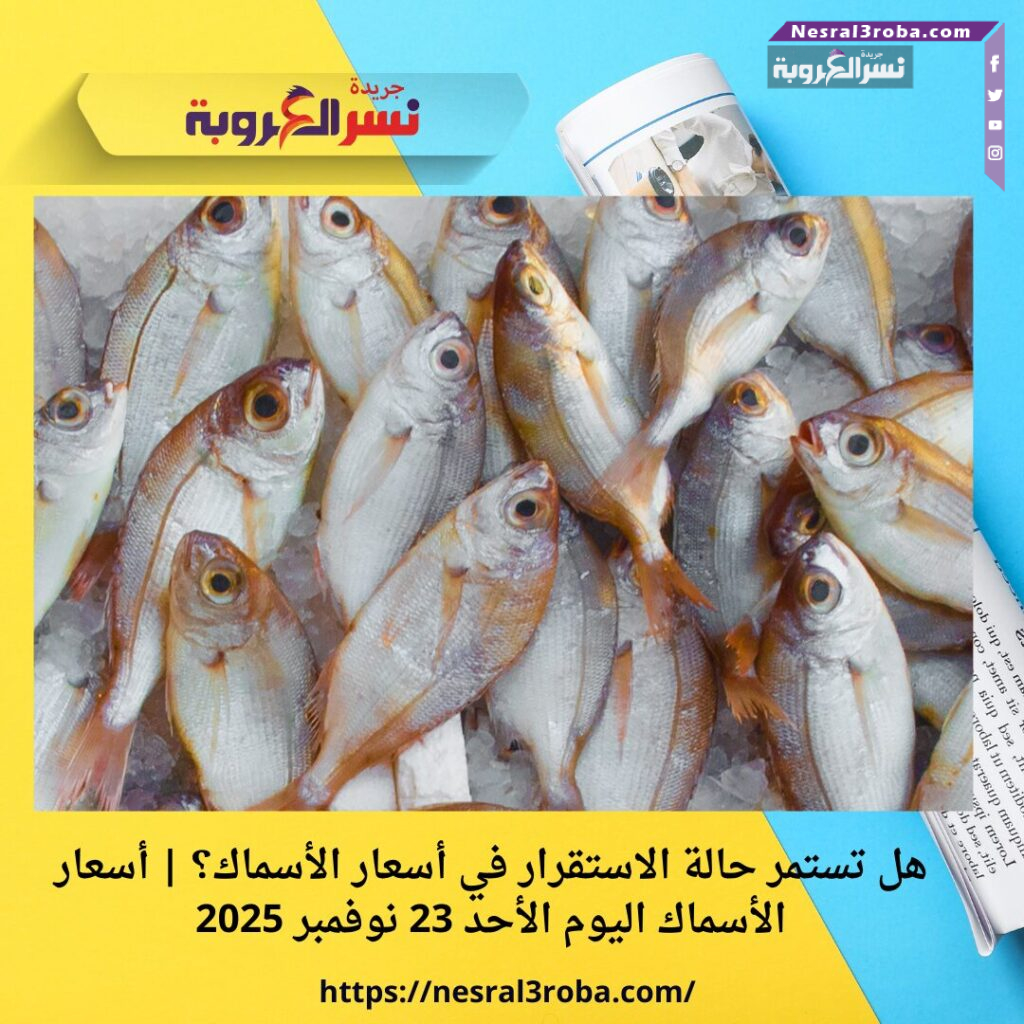 هل تستمر حالة الاستقرار في أسعار الأسماك؟ | أسعار الأسماك اليوم الأحد 23 نوفمبر 2025
