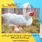 📌 الفراخ البيضاء بكام؟.. تراجع أسعار الدواجن والبيض اليوم الأحد 23 نوفمبر 2025