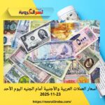 أسعار العملات العربية والأجنبية أمام الجنيه اليوم الأحد 23-11-2025