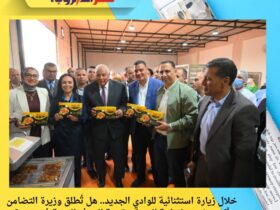 خلال زيارة استثنائية للوادي الجديد.. هل تُطلق وزيرة التضامن أكبر مشروع لزراعة النخيل وتنمية الحرف البيئية في مصر؟
