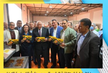 خلال زيارة استثنائية للوادي الجديد.. هل تُطلق وزيرة التضامن أكبر مشروع لزراعة النخيل وتنمية الحرف البيئية في مصر؟